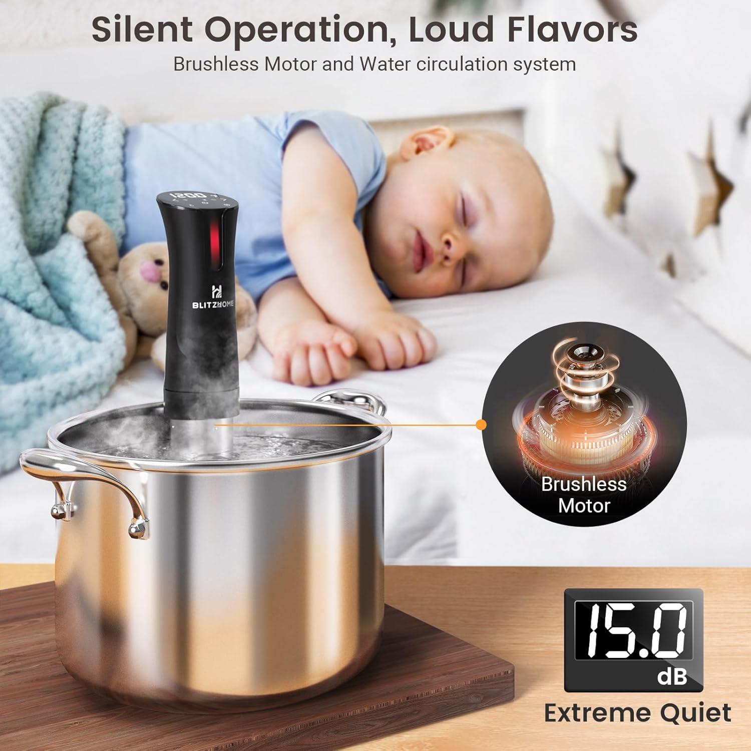 BlitzHome 1100W Sous Vide Cooker with Temperature Setting, Timer, Breath Light Reminder Function