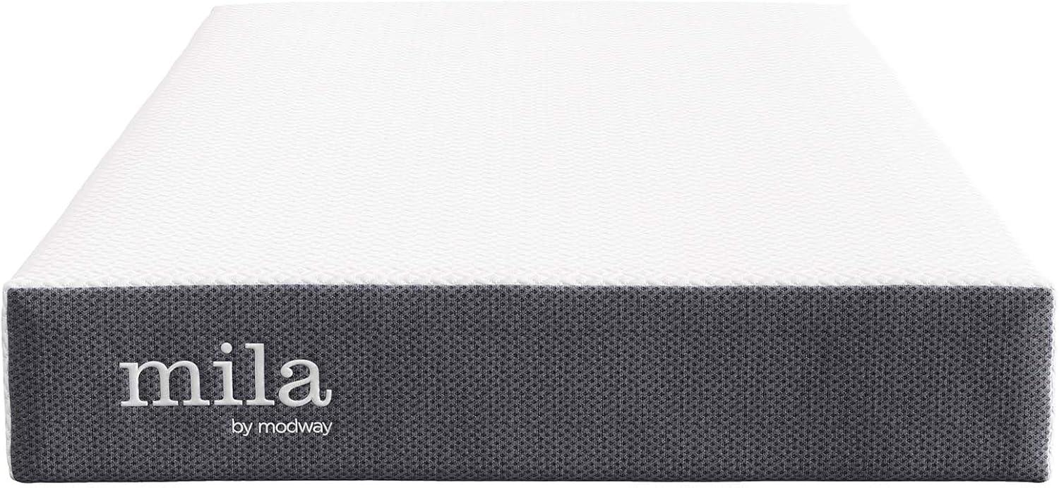 Modway Mila 8" Twin Mattress