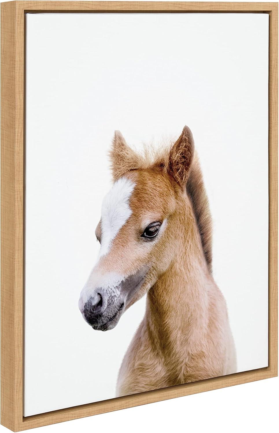 18" x 24" Sylvie Animal Studio Baby Horse Framed Canvas by Amy Peterson - Kate & Laurel All Things Decor