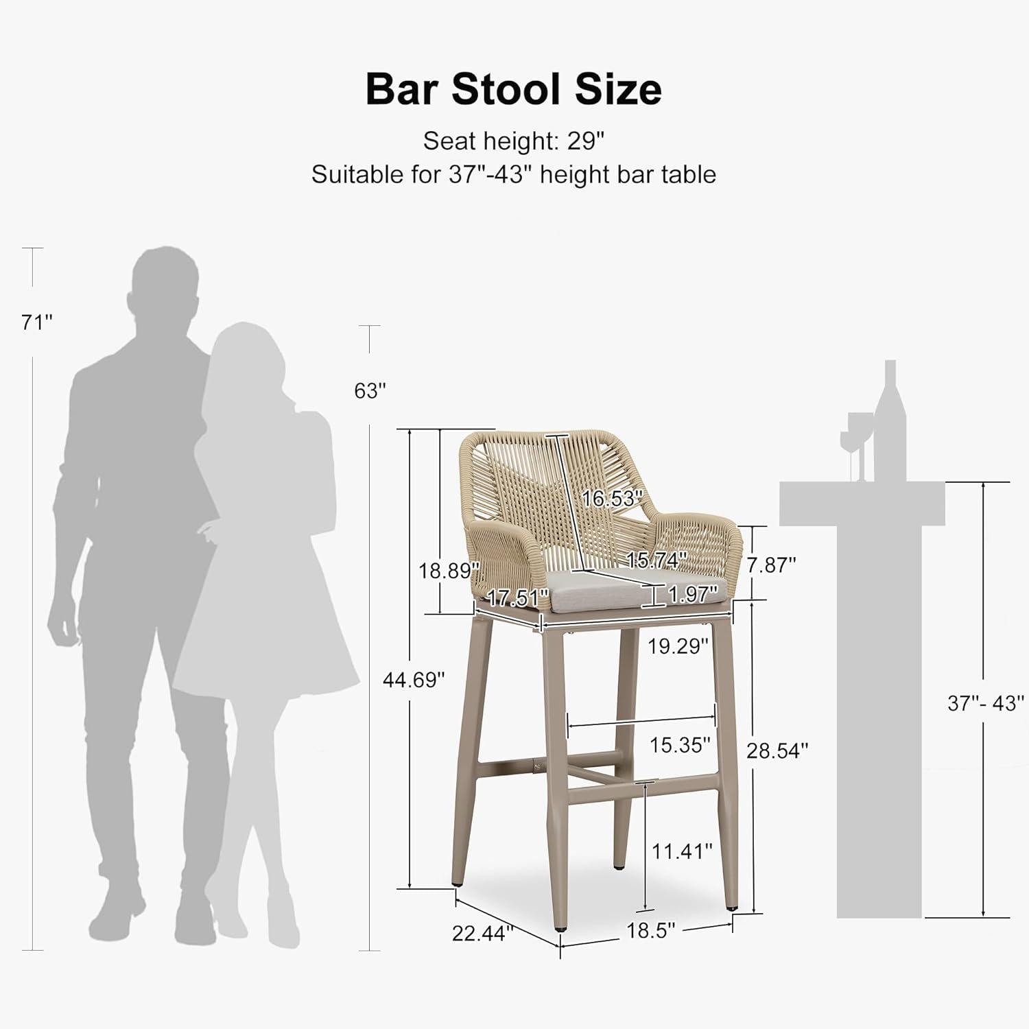 PURPLE LEAF Outdoor Wicker 29" Bar Stools Set of 2, Boho Patio Bar Height Chair with Cushion and Back for Outdoor and Indoor, Garden, Patio, Smoke Grey