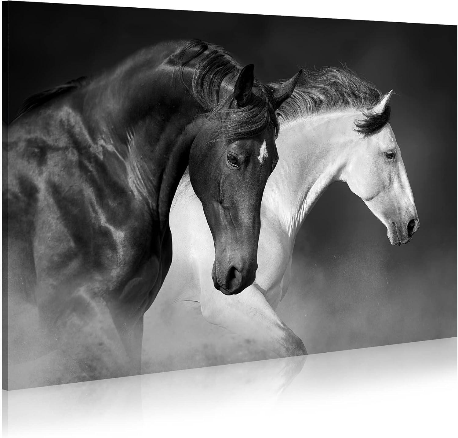 Shadudu Wild Horses Canvas Wall Art - Black White Horse Racing Picture Two Vintage Animals Artwork Print Painting for Home Office Bedrooms 36x24in