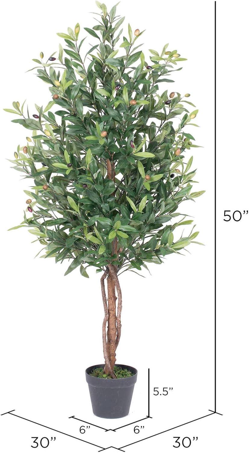 50 in. Green Olive Tree in Pot