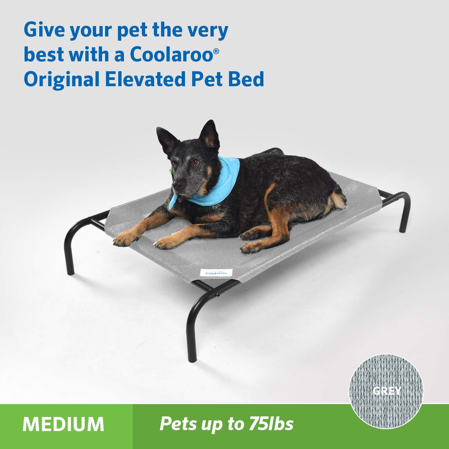 The Original Coolaroo Elevated Pet Dog Bed for Indoors & Outdoors, Medium, Gray