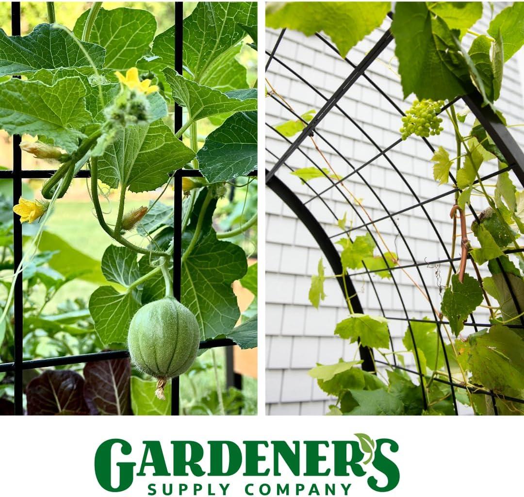 Gardener's Supply Company 2’ x 8’ Arch Trellis for Planter Boxes