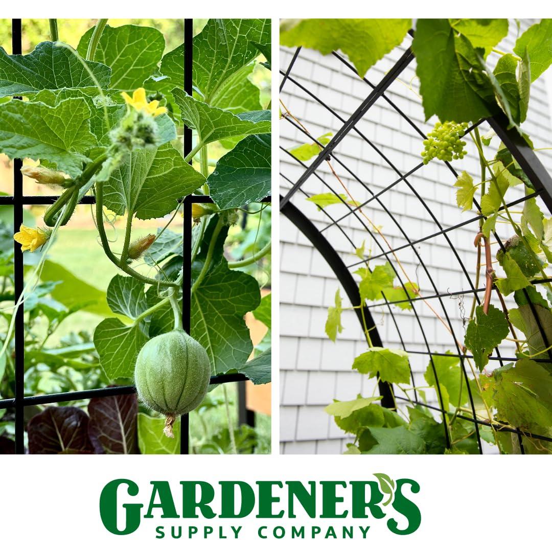 Gardener's Supply Company 2’ x 8’ Arch Trellis for Planter Boxes