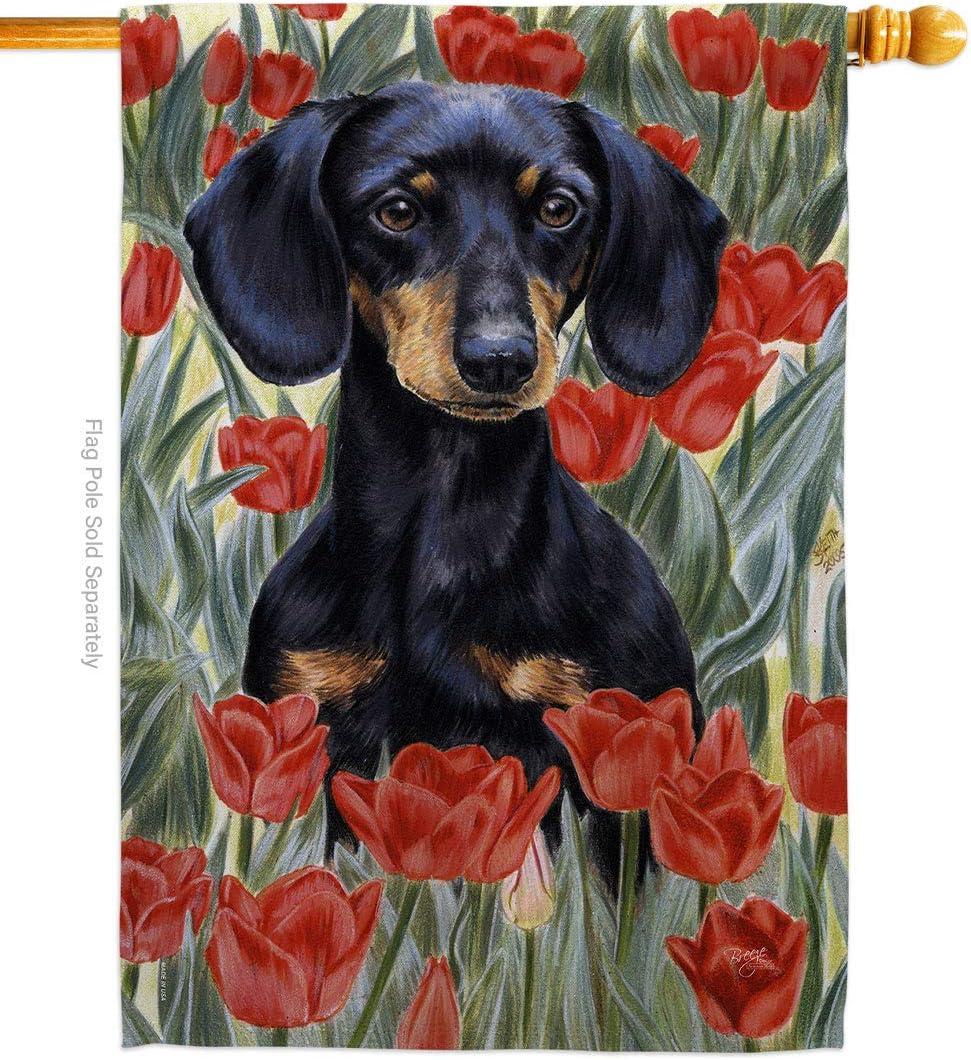 Breeze Decor Double Sided 40.00'' H x 28.00'' W Polyester Flag Set