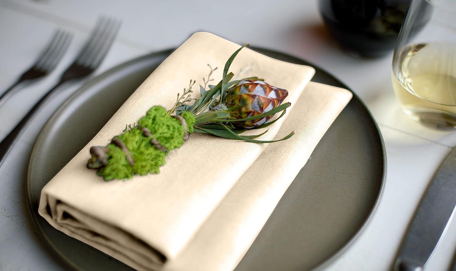 Gee Di Moda Cloth Napkins - 17 x 17 Inch - Heavy Duty Washable Polyester - Set of 12 - Beige