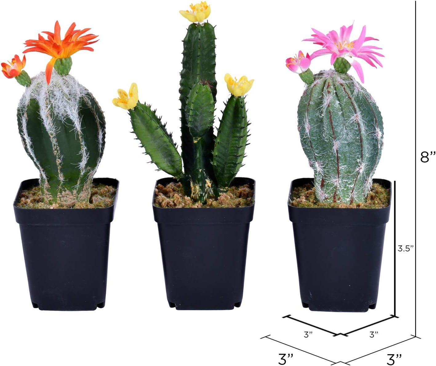 Vickerman 8" Artificial Cactus, Black Plastic Planters Pot, Set of 3