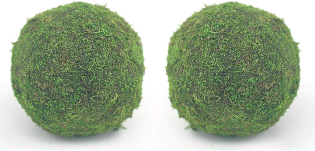 Nice purchase Handmade Natural Green Plant Moss Balls Decorative for Home Party Display Decor Props (6 in)