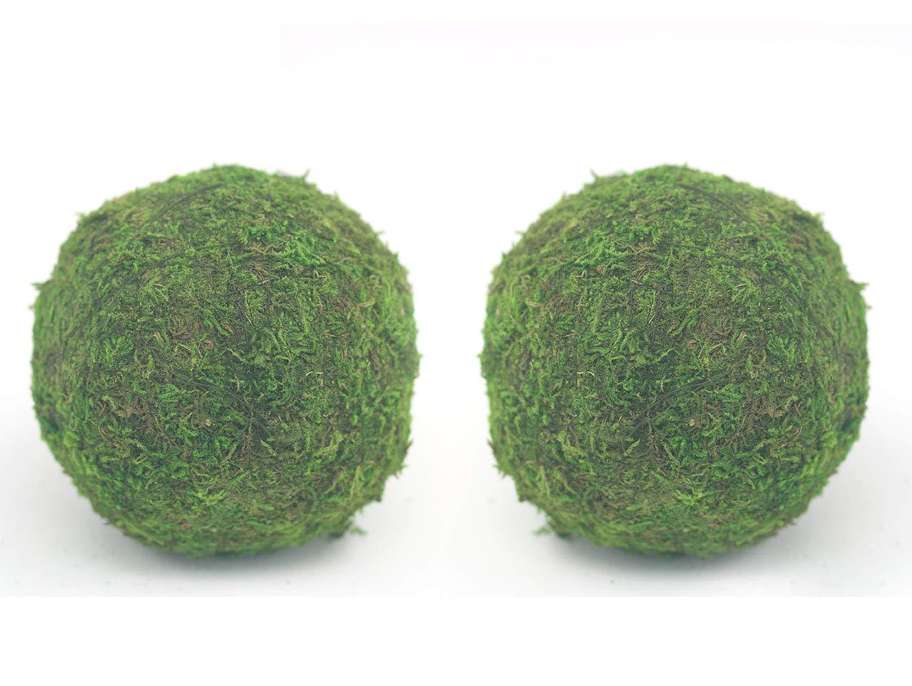 Nice purchase Handmade Natural Green Plant Moss Balls Decorative for Home Party Display Decor Props (6 in)