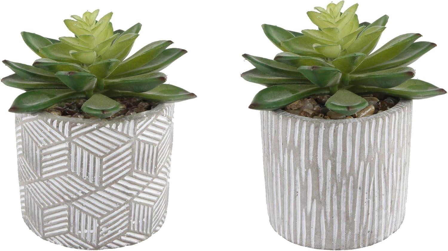 Valentine's Day Faux Succulent Duo in Artisan Cement Pots