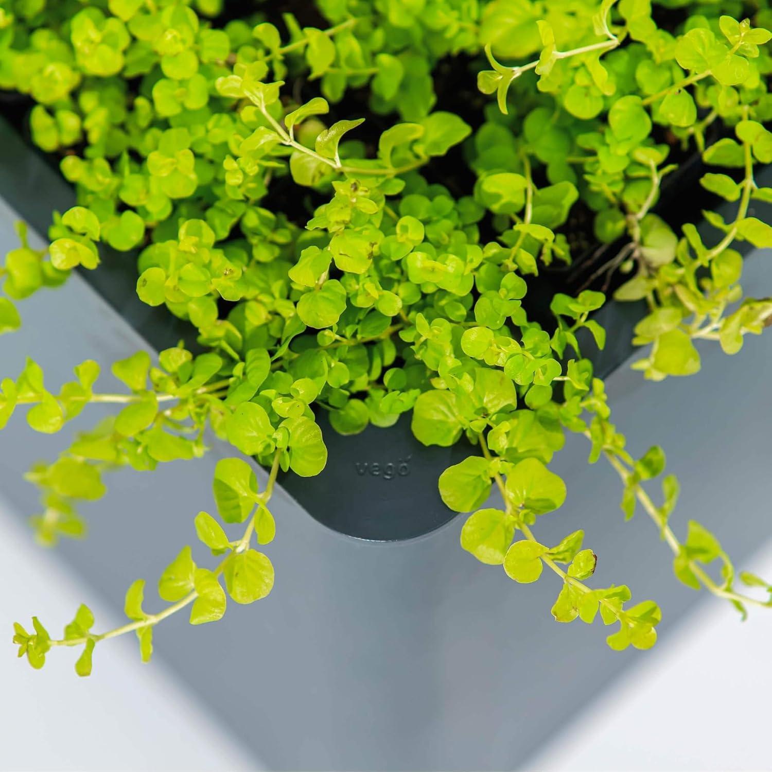 Vego Garden Modern 32" Tall Metal Outdoor Long Planter Box