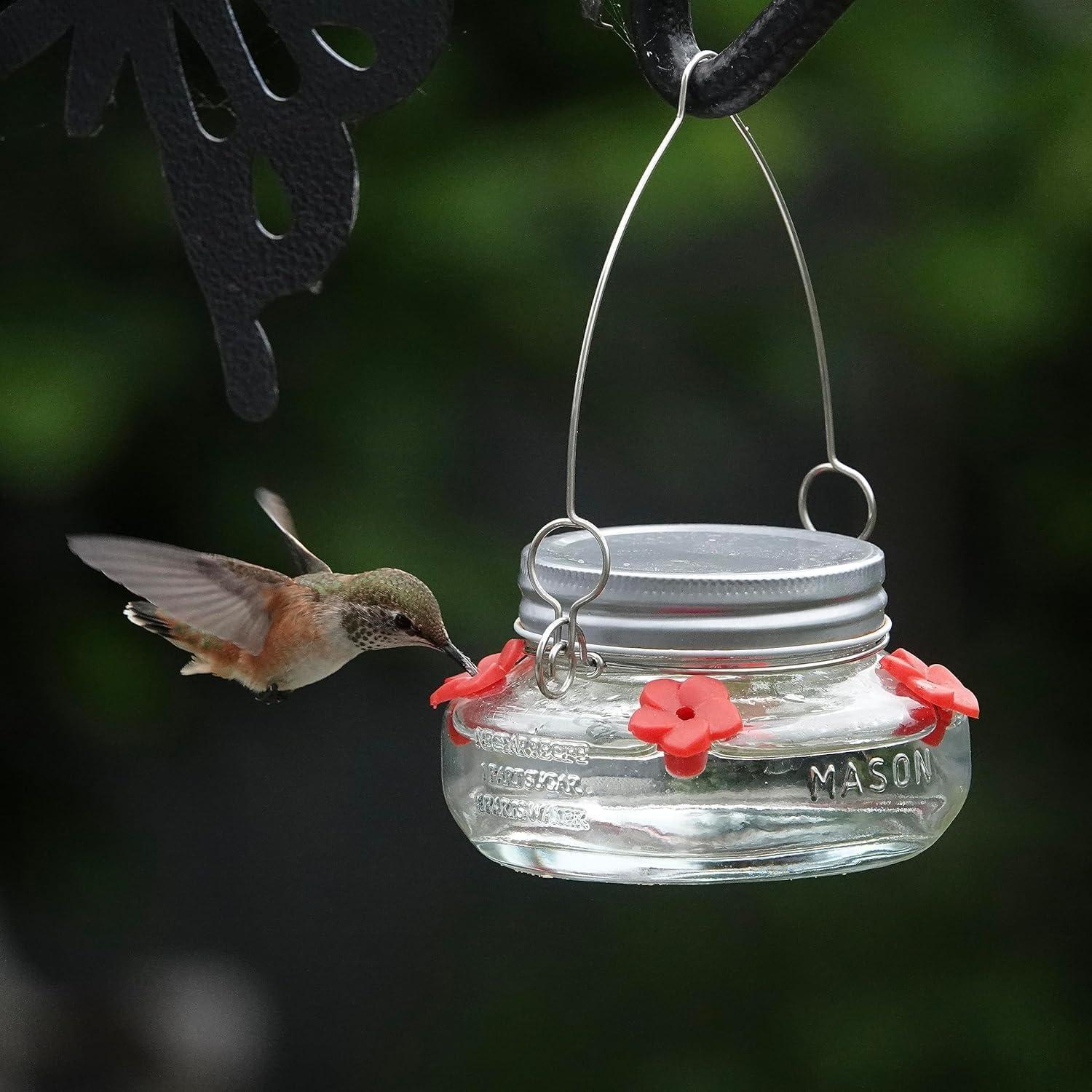 Nature's Way Bird Products Mason Jar Hummingbird Dish Feeder, 6 oz