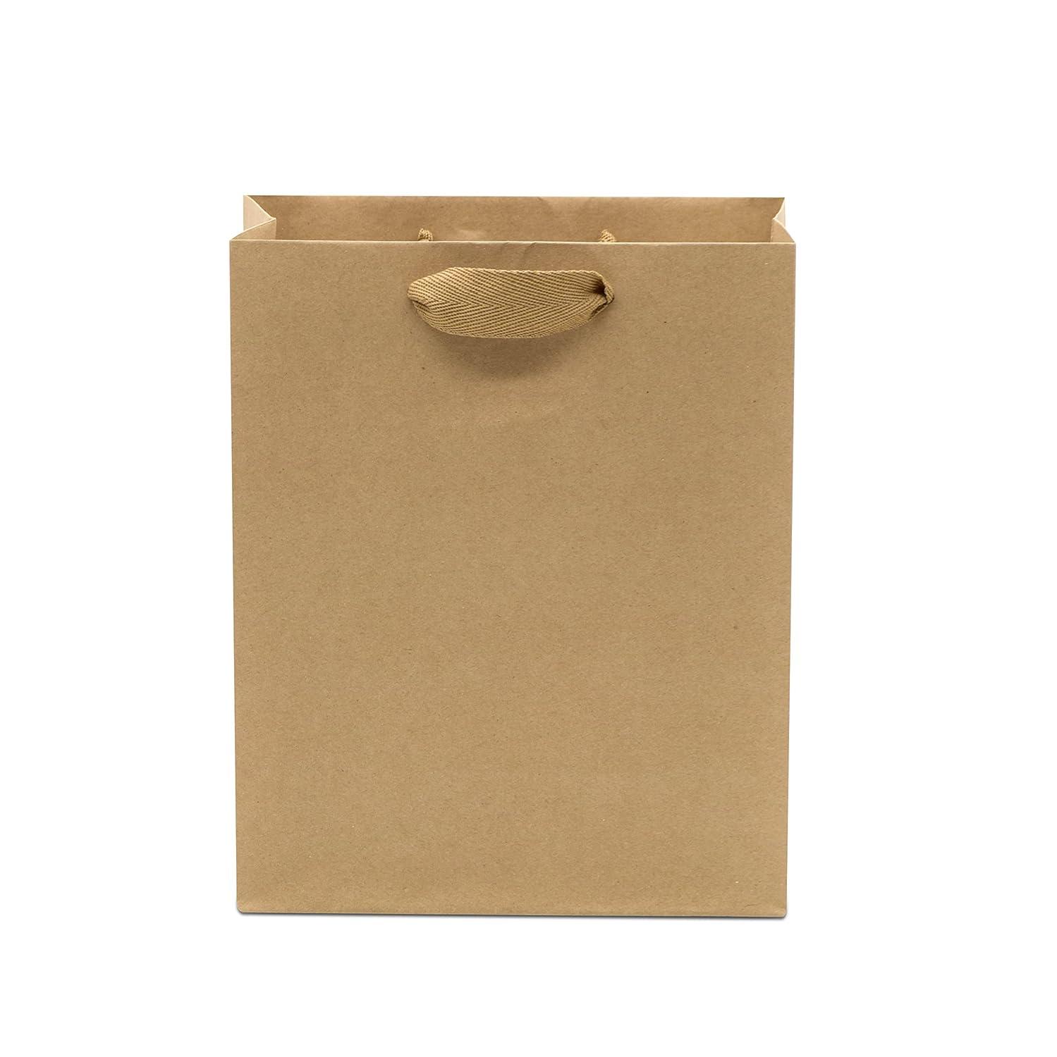 Paper Lunch Bags 25 Lb Brown Paper Bags 25LB Capacity - Kraft Brown Paper Bags, Bakery Bags, Candy Bags, Lunch Bags, Grocery Bags, Craft Bags - #25 Large Lunch Paper Bags by EcoQuality (100, #25)