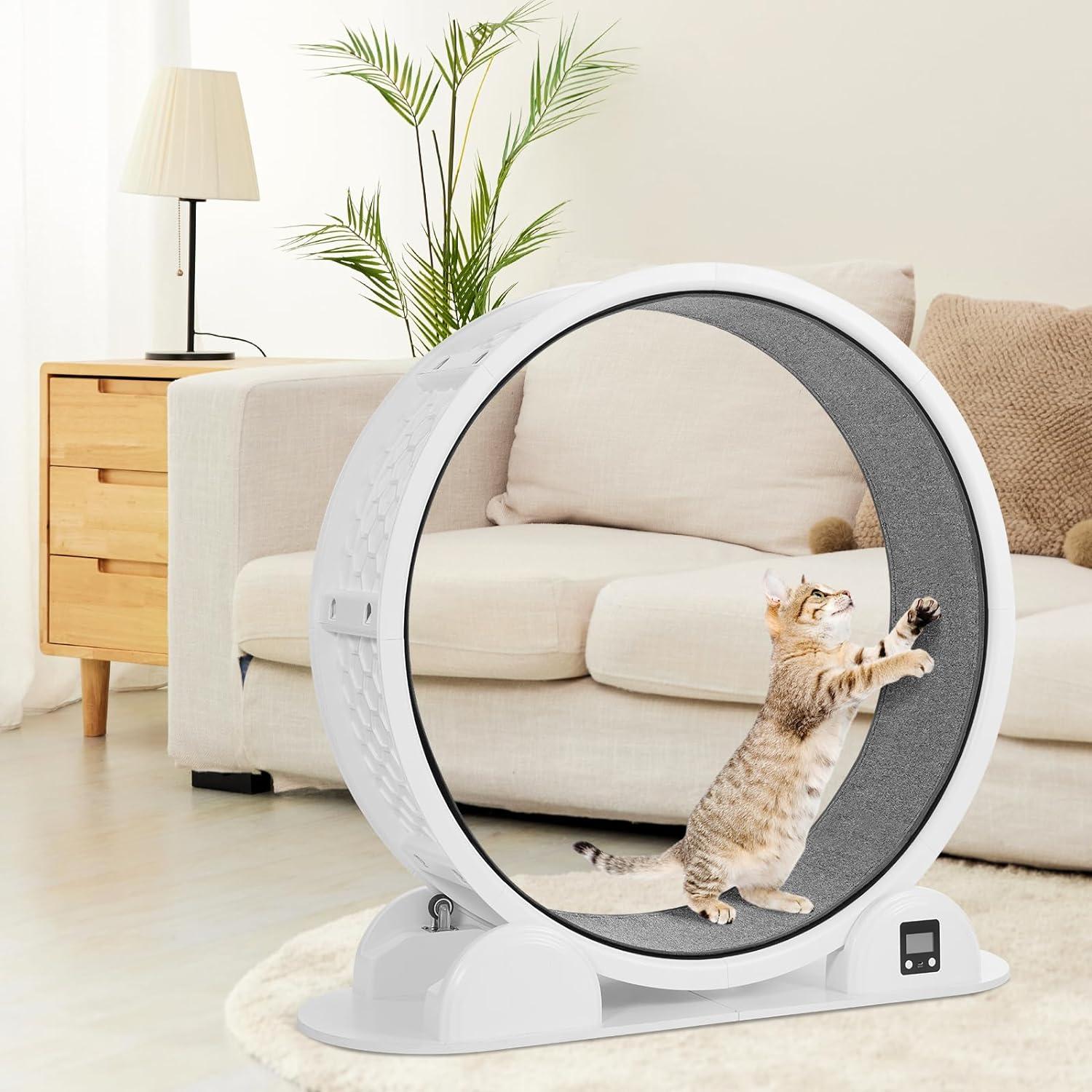 Large White and Gray ABS Cat Exercise Wheel with Pedometer