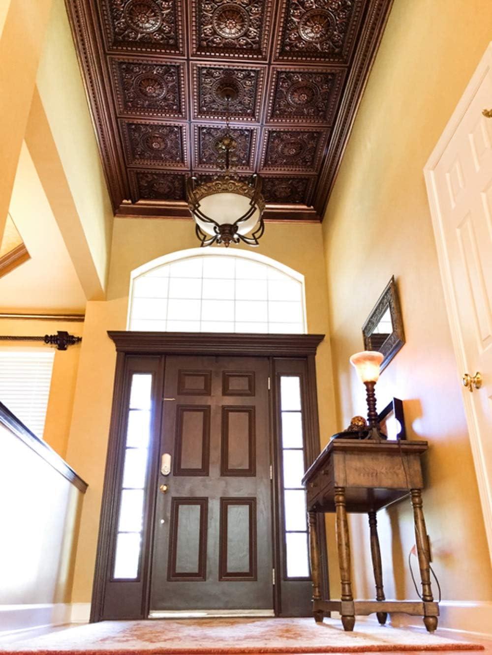 FromPlainToBeautifulInHours Rhine Valley 2 Ft. X 2 Ft. Drop-In PVC Ceiling Tile (Set of 25)