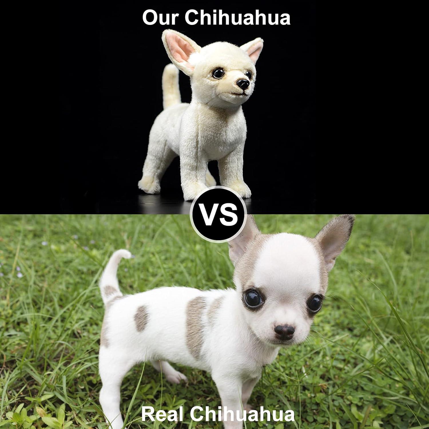 ZHONGXIN MADE Simulation Chihuahua Dog Stuffed Animal - 10 inch Cute Chihuahua Dog Plush Toy, Lovely Dog Plush Toy Model as Gift Toy Gift Collection for Kids