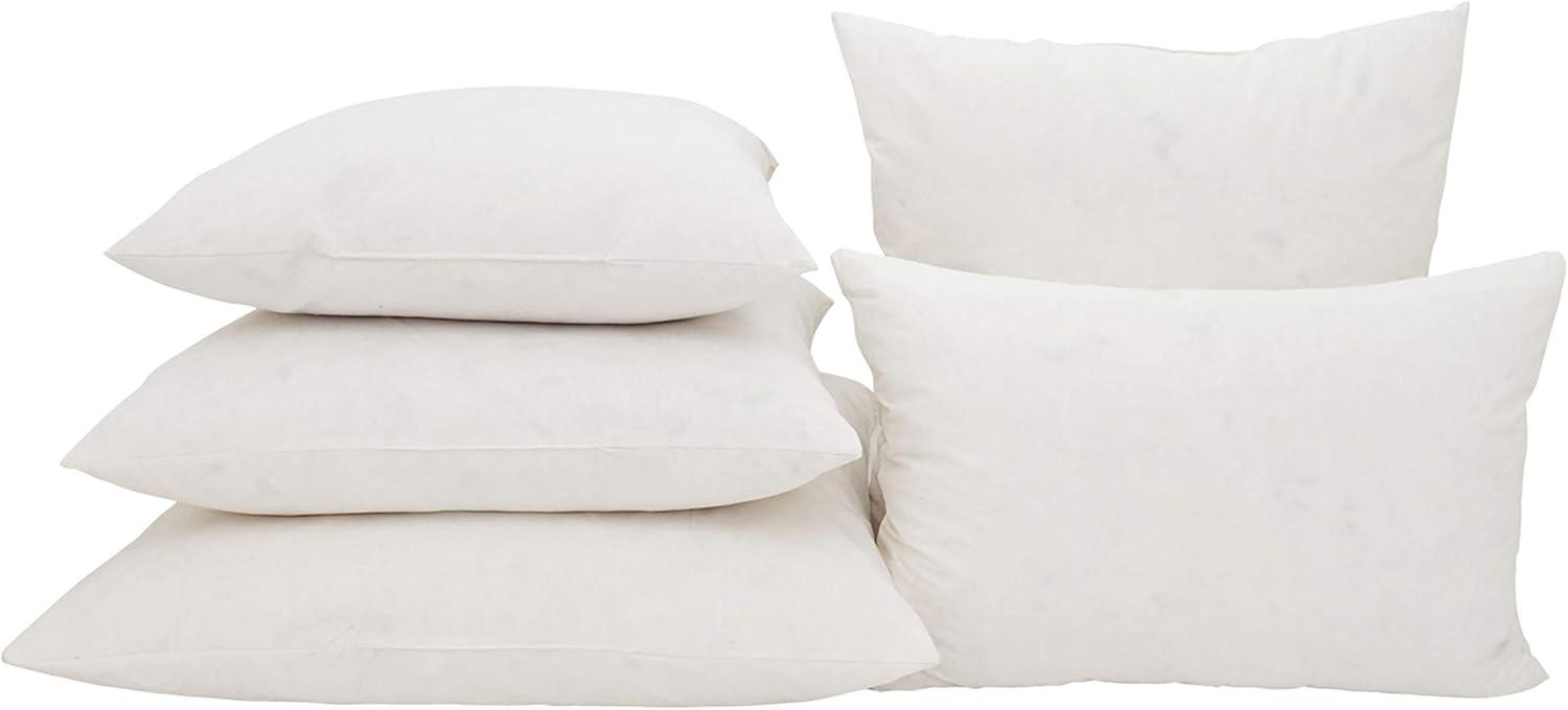 Saro Lifestyle  22 in. Down Feather Pillow Insert, White