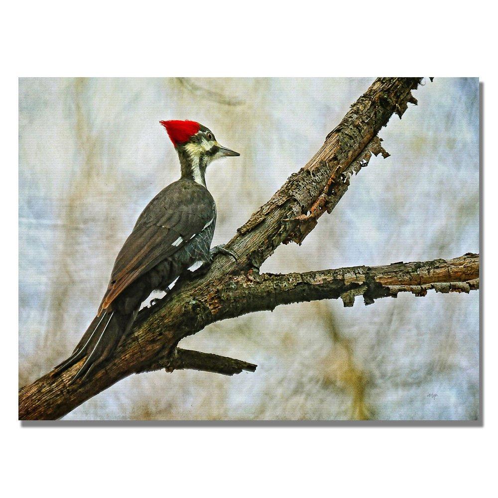 Trademark Fine Art 'Woodpecker II' by Lois Bryan Photographic Print on Canvas | Wayfair