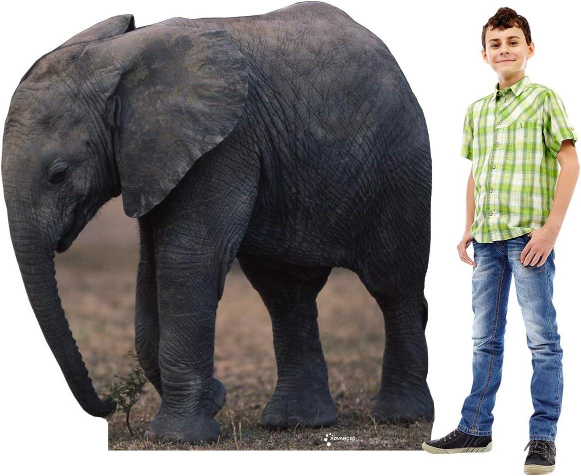Advanced Graphics Animals 55'' Animals Cardboard Standup
