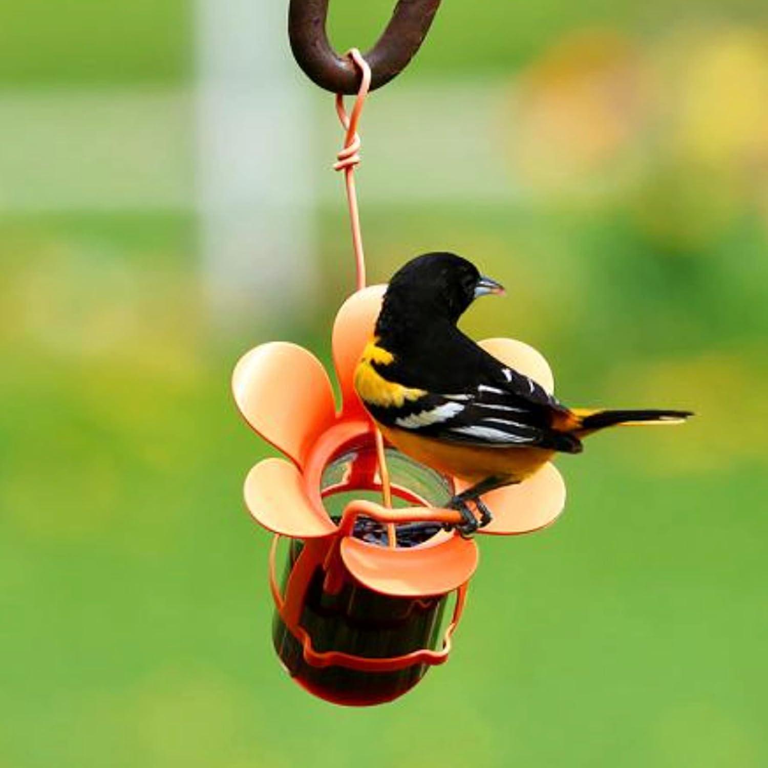 Songbird Essentials Grape Jelly Oriole Feeder, Fits Most 10-12oz Jelly Jars, Orange Plastic Bird Feeder