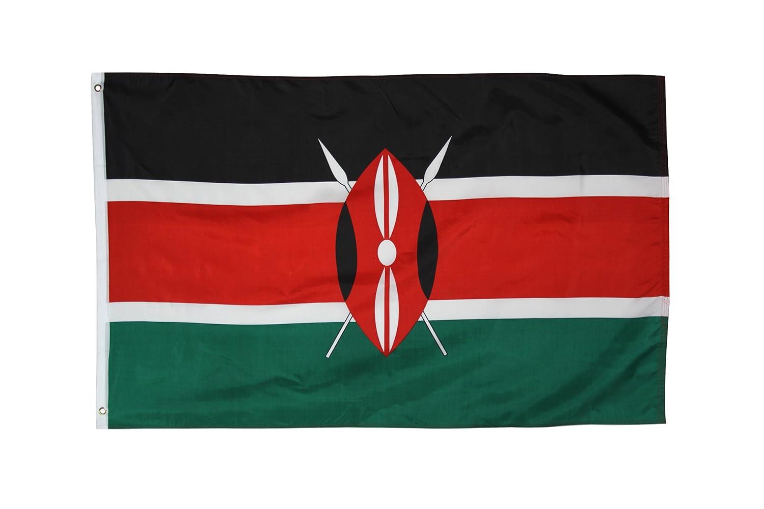 3x5 Tibet China Flag Buddhism Banner Dalai Lama Tibetan Pennant Chinese Outdoor