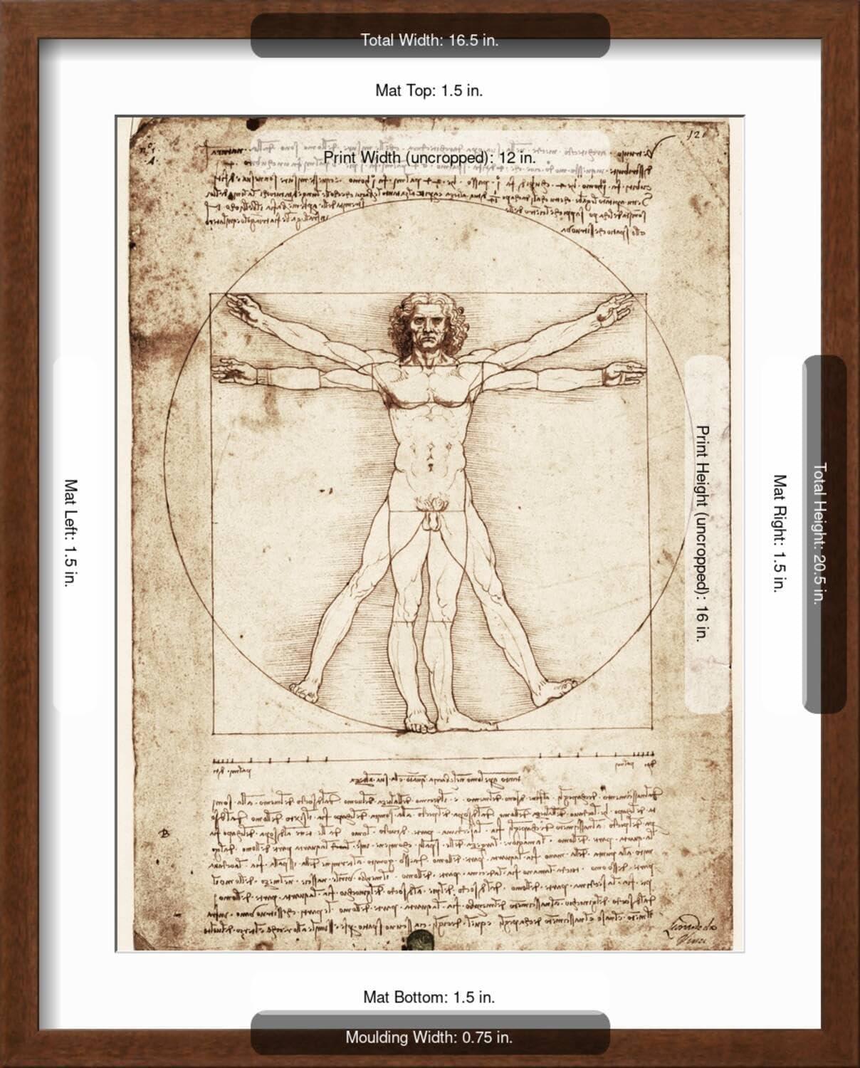 Art.com Vitruvian Man Art Print by Leonardo da Vinci, 12" x 16"