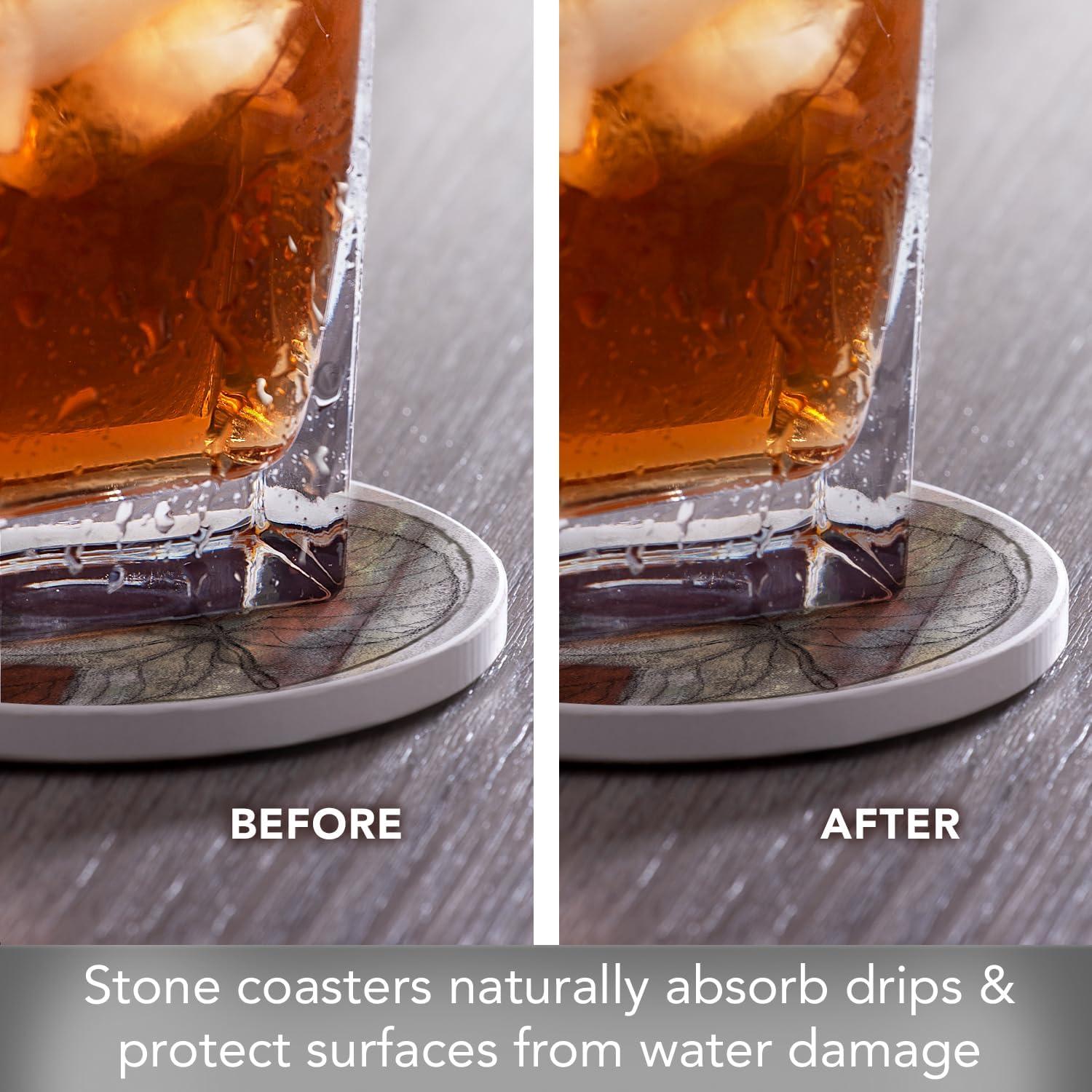 Thirstystone Leaf Whisper II Absorbent Stone Coaster 4-Pack