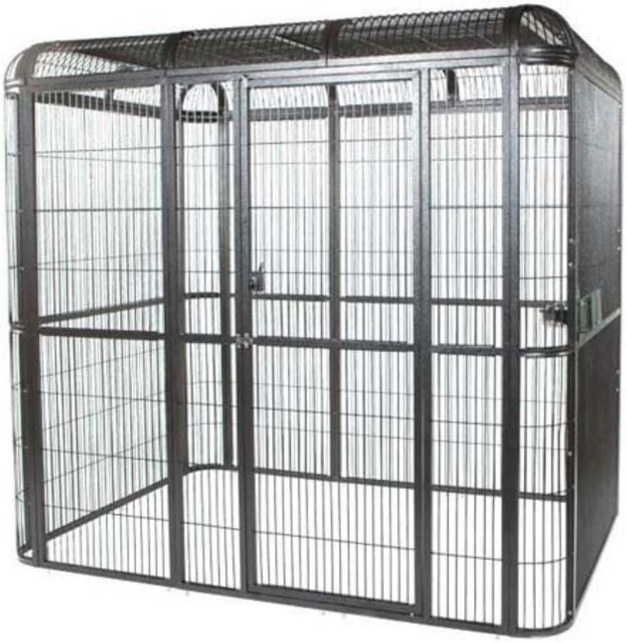 A&E Cage WI6262 Black 62 In. X 62 In. Walk In Aviary