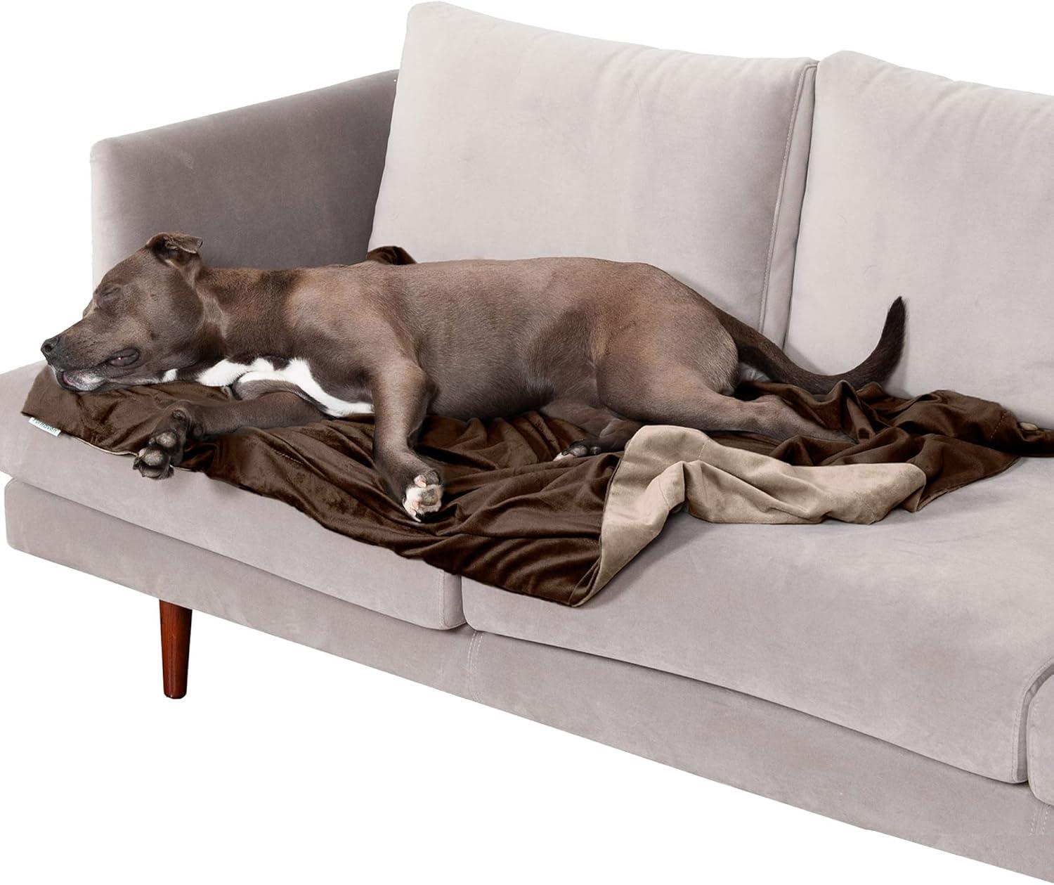 FurHaven Waterproof Faux Velvet Throw Blanket