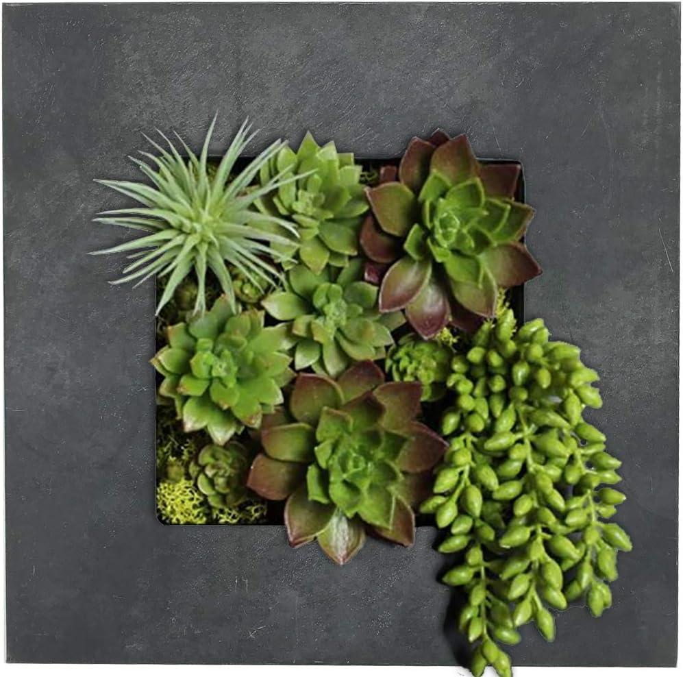 Modern Home Living Wall Galvanized Steel/Zinc Succulent Planter (Black Zinc, 4 Pocket)