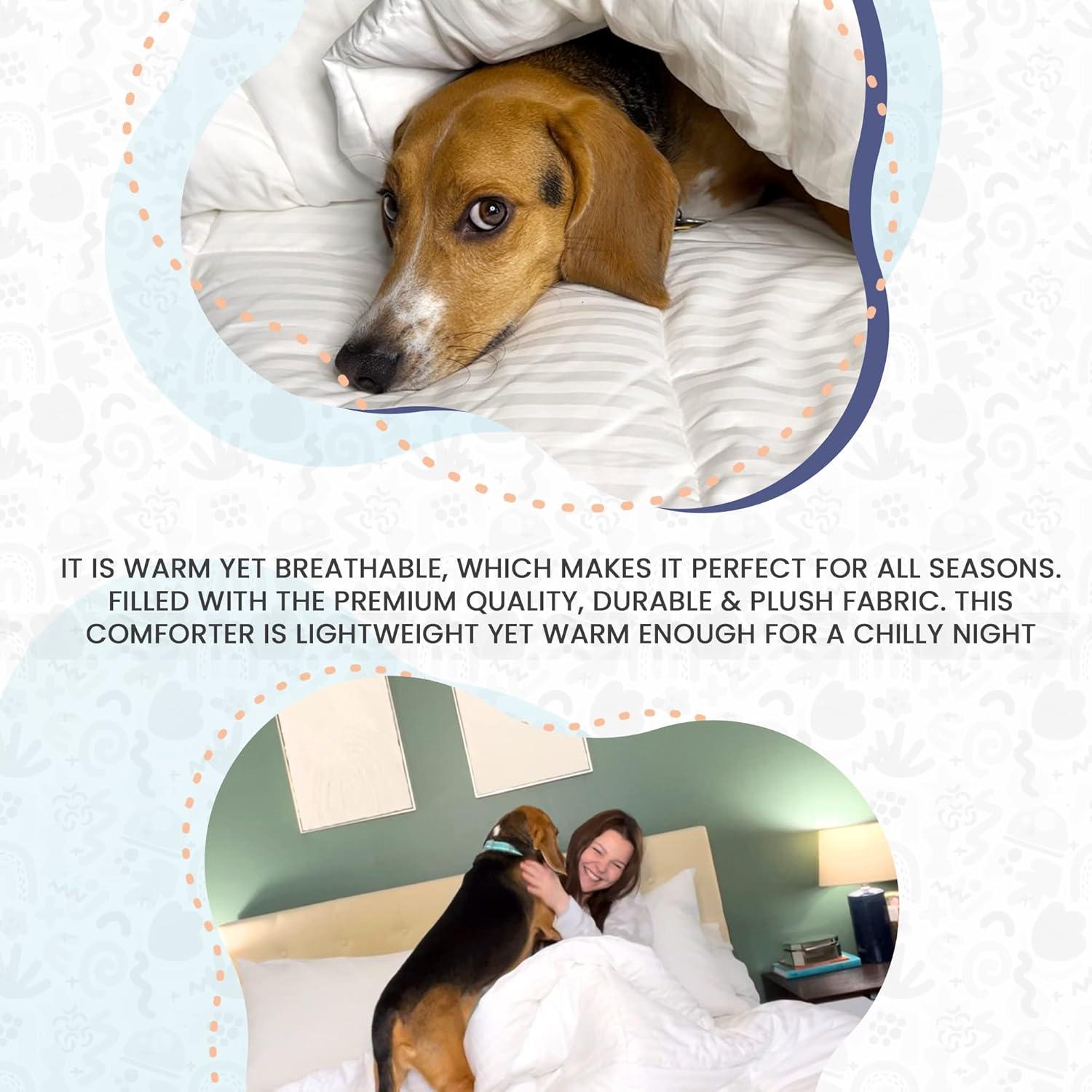 Continental Bedding Affinity All Season Down Alternative Duvet Insert Comforter Twin Size