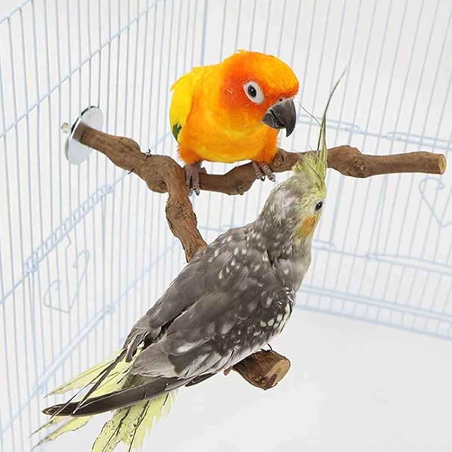 Allazone Natural Wooden Bird Perch Stand for Cage, Parrot Platform, Bird Perch Toy for Small Animals, Cockatiels, Parakeets, Finches