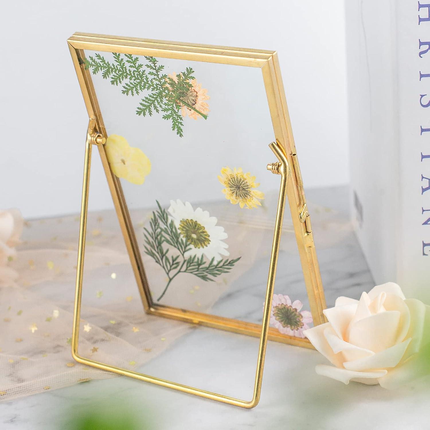 Gold Metal Floating Glass Picture Frames Set, 4x4, 4x6, 5x7