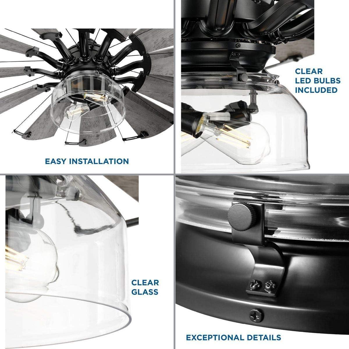 Progress Lighting Springer Collection 2-Light Matte Black Ceiling Fan Shades Clear Glass Light Kit