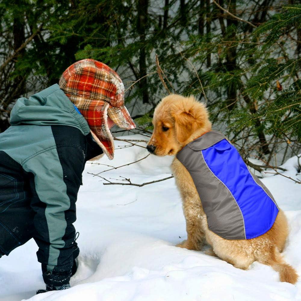 Vizpet Dog Raincoat Waterproof Coats,Dog Jacket High Visibility Warm Vest Dog Clothes for Small Medium Large Dogs(Blue-L)