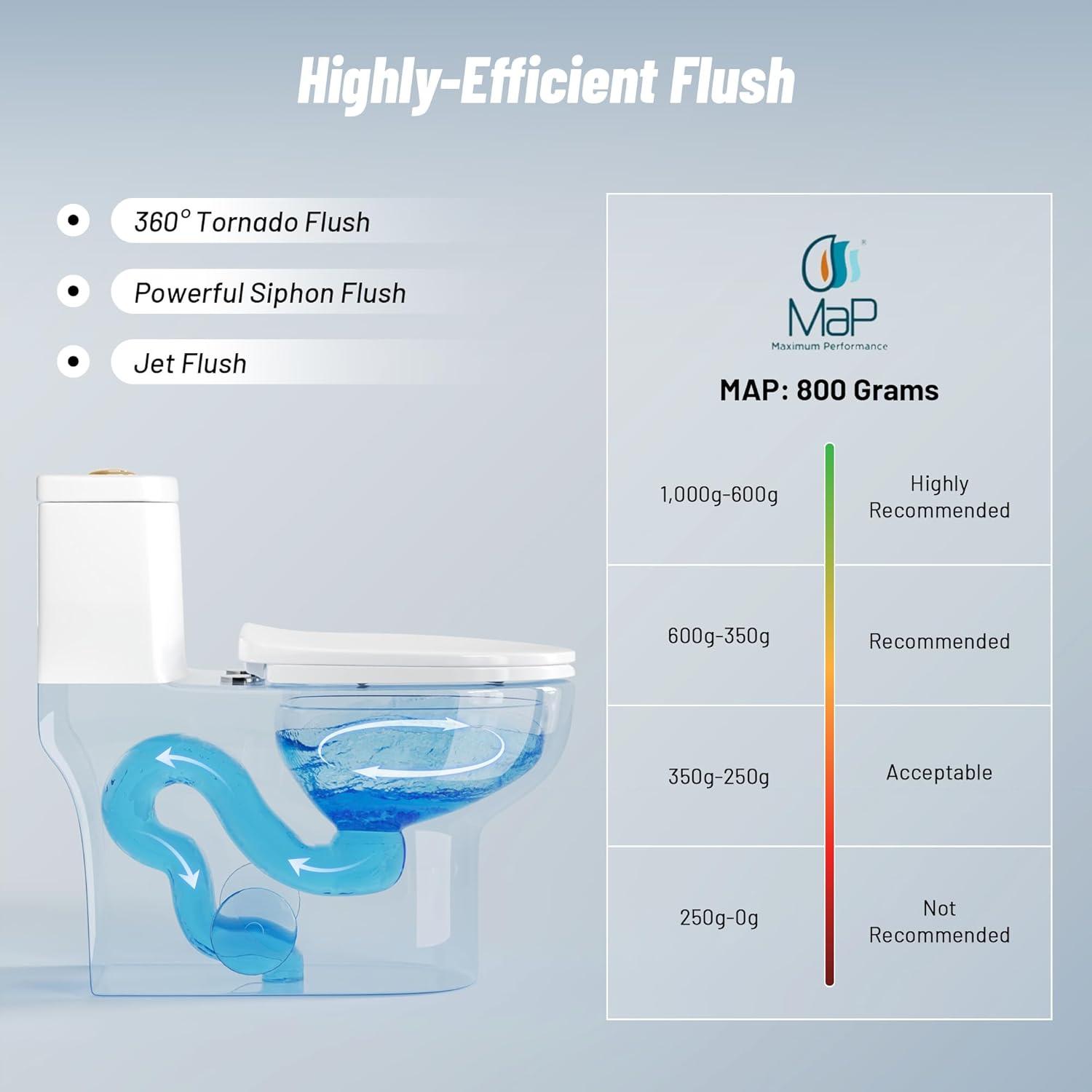 Ally Standard Bathroom Toielt, Modern Toilet with Comfort Chair Height Floor Mounted(Seat Included)