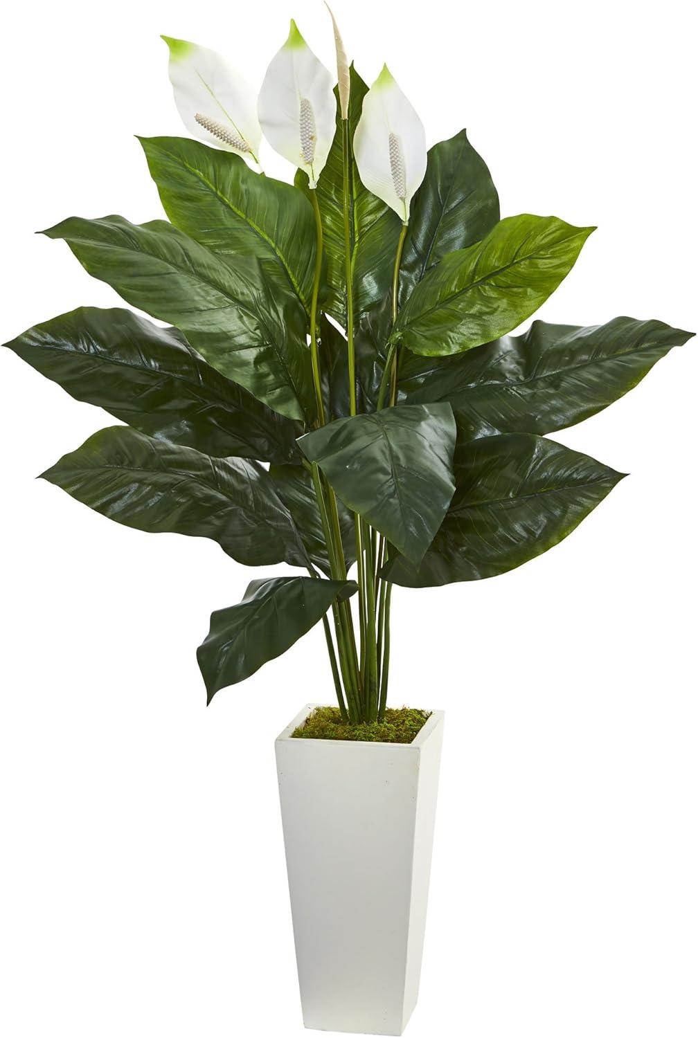 Elegant 51'' Glossy Green Spathiphyllum in White Tower Planter