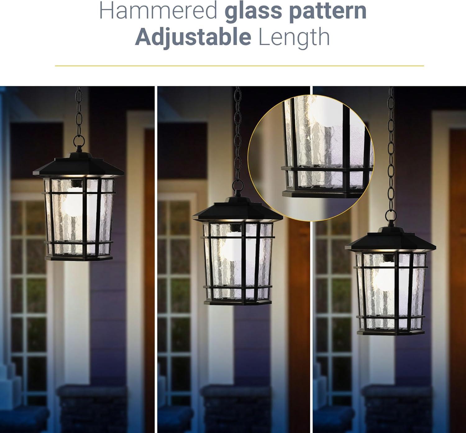 Williams 1- Light Black 14" H Glass Outdoor Hanging Lantern (Bulb Included)