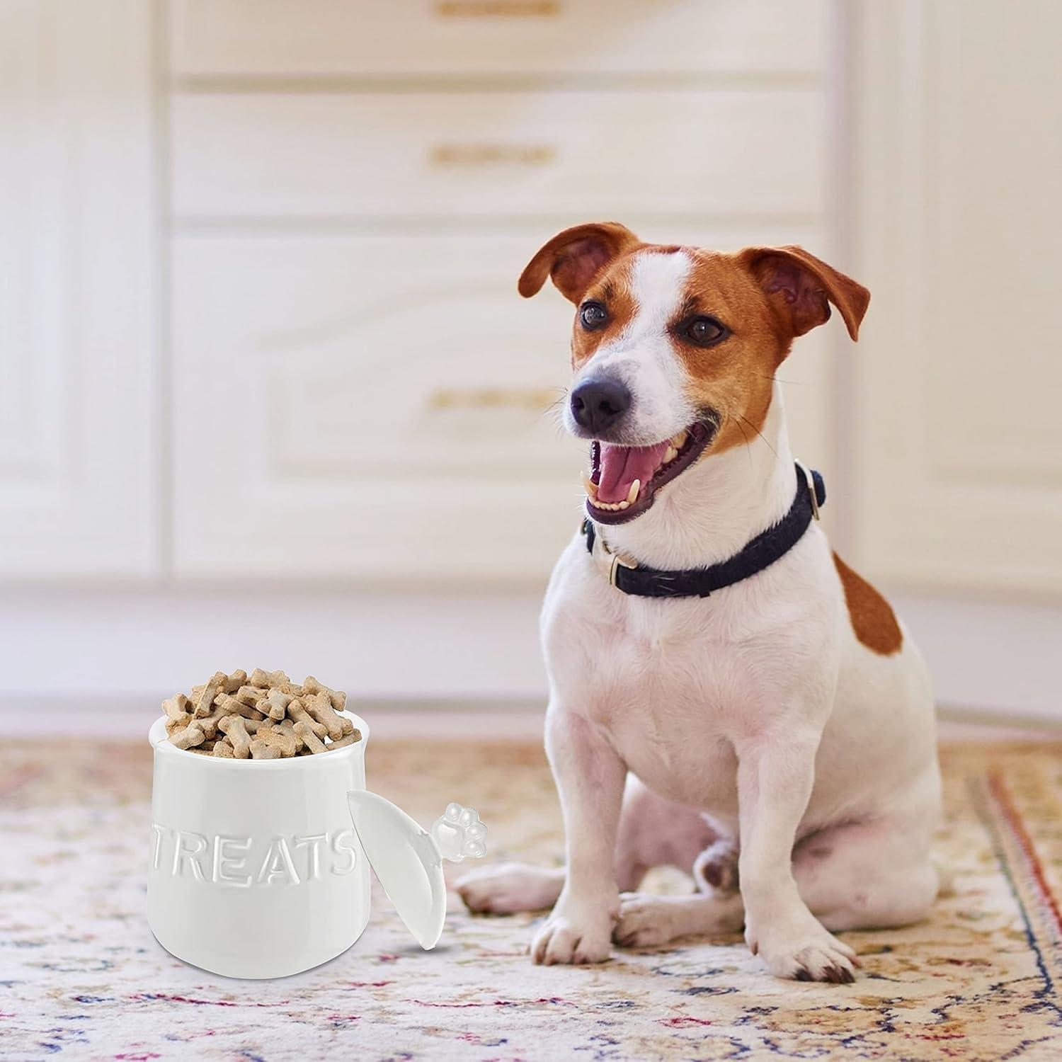 KOVOT Ceramic Pet Treat Jar - Ivory White, Airtight Lid, Paw Handle - Ideal for Dog Snacks & Treats