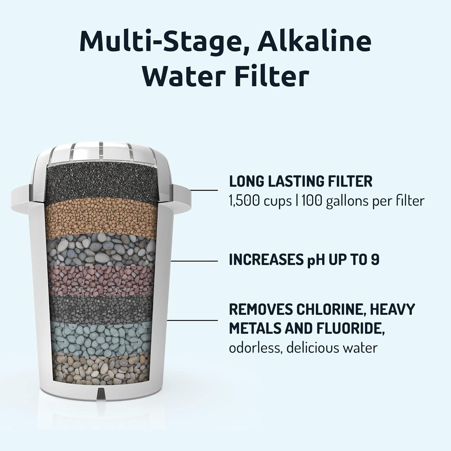 Black Alkaline Water Filter System with 100 Gallon Capacity