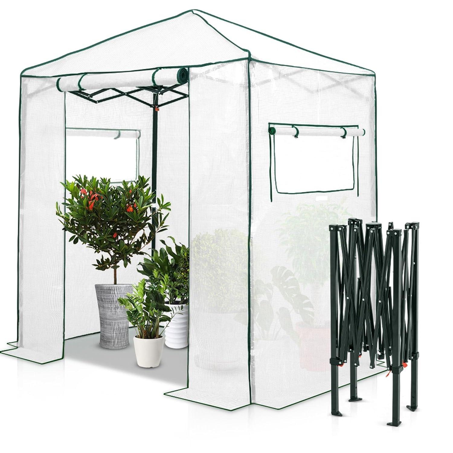EAGLE PEAK Pop Up Greenhouses 6 ft x 4 ft Greenhouse