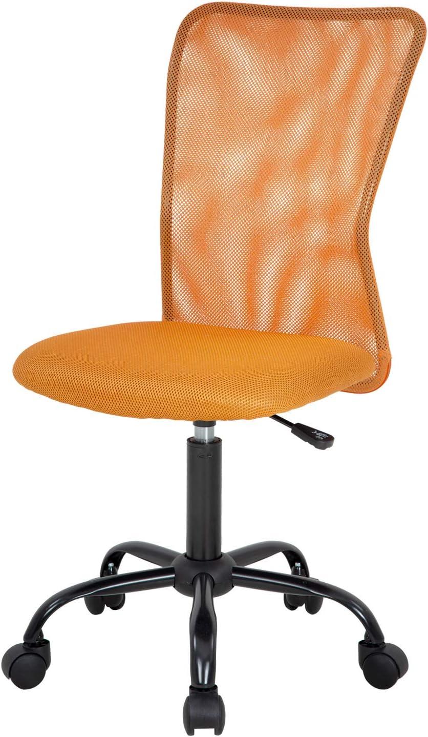 FDW Home Office Chair Mid Back Mesh Desk Chair Armless Computer Chair Rolling Swivel Chair with Lumbar Support