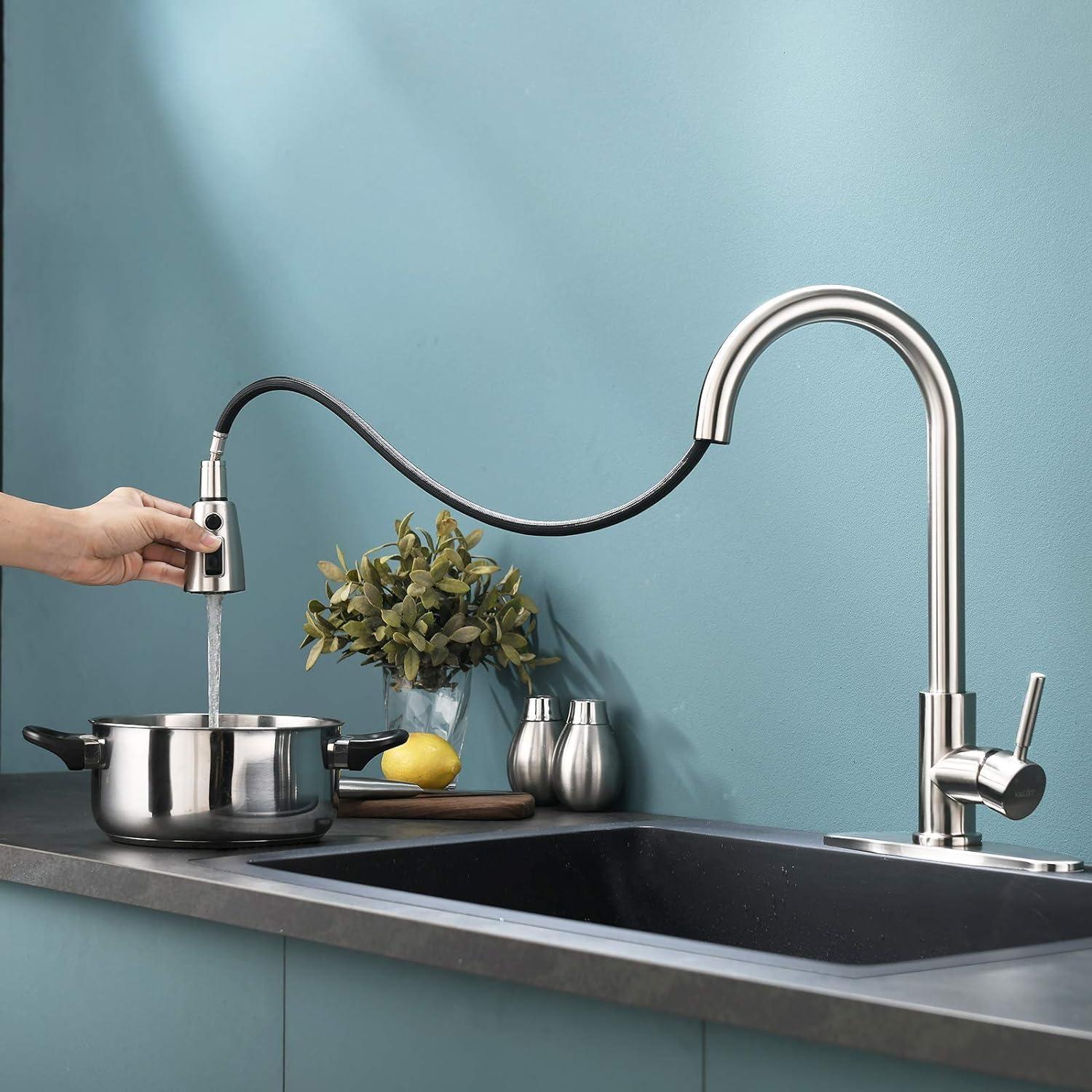 Single Handle High Arc Brushed Nickel Pull Out Kitchen Faucet, Pull Down Sprayer