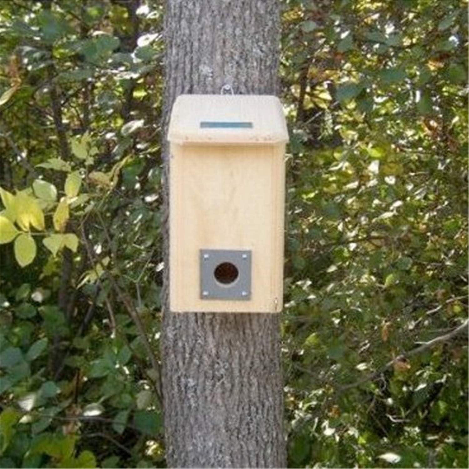 Small Eastern White Pine Winter Bird Roost with Slate Guard