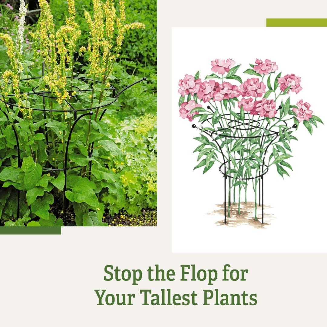 Essex Plant Supports