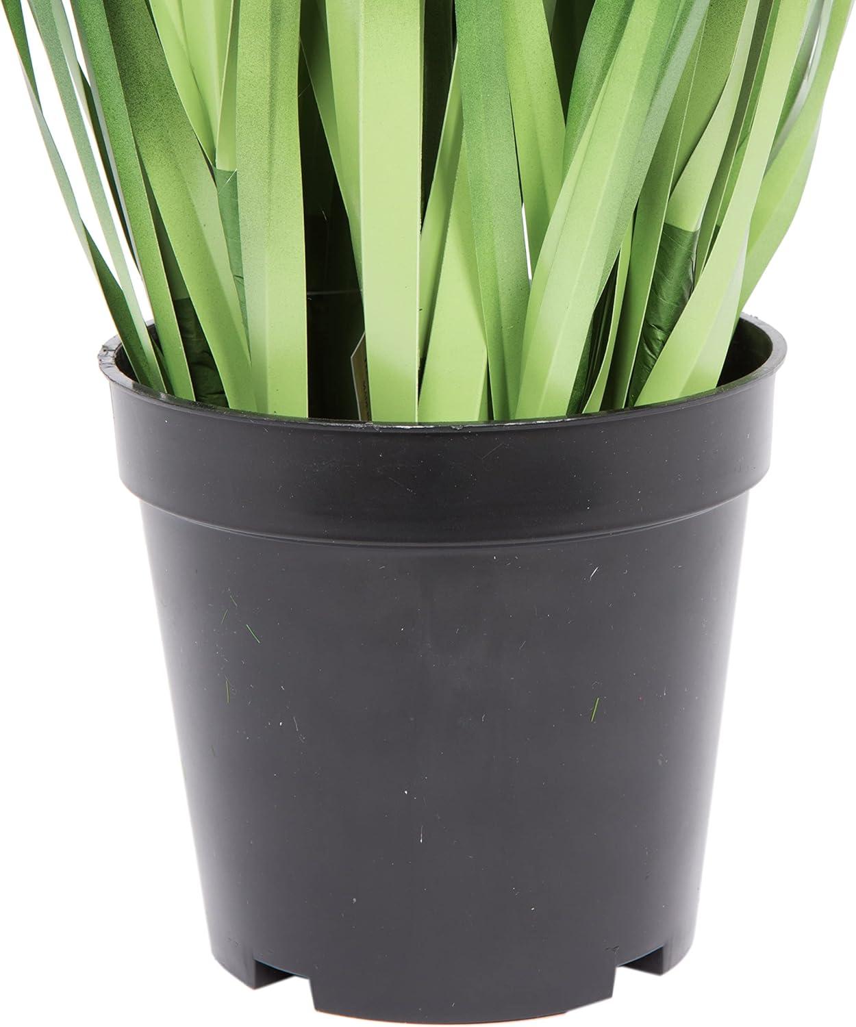 Sleek Summer 24" Artificial Sheep's Grass in Modern Black Pot