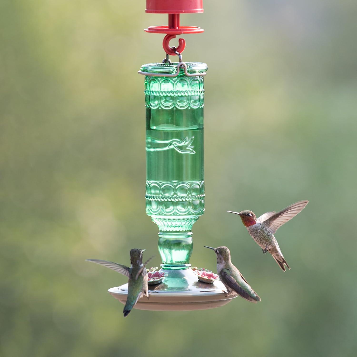Woodstream Glass Hanging Soda Bottle Feeder