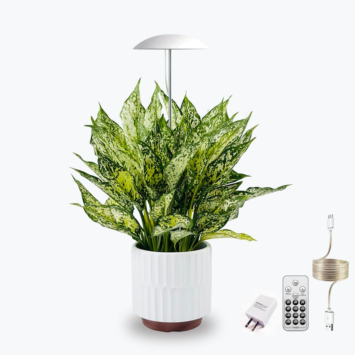 Witsanlex Smart LED Grow Lights for Indoor Plants, Full Spectrum, Sun Mode Auto Dimming, Daily Auto on/off Timer, Height Adjustable