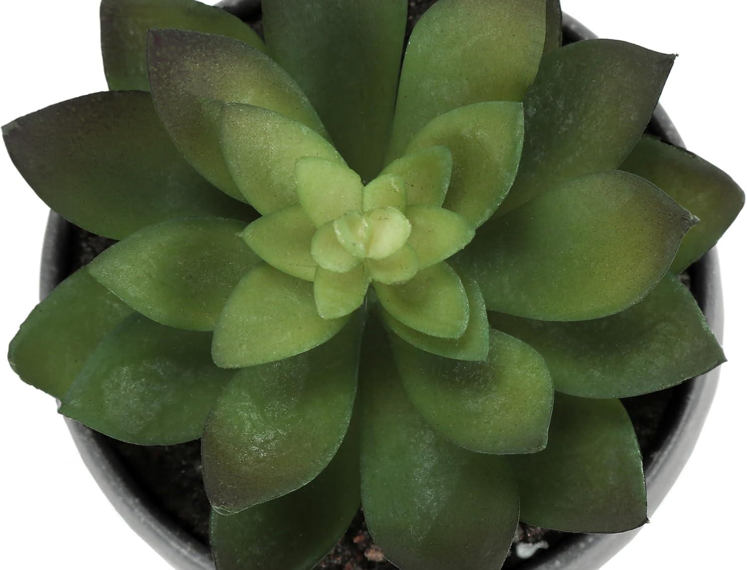 Benjara Artificial Succulents Silk Plant Indoor Set of 3, Green, Gray Cement